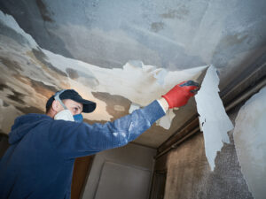 smoke, water, fire restoration, home rehab, mold