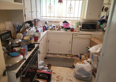 kitchen with extreme hoarding conditions before cleanup