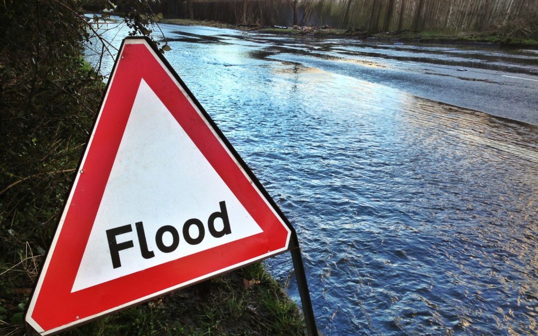 Spring Flood Prep for Cluttered Homes in Texas